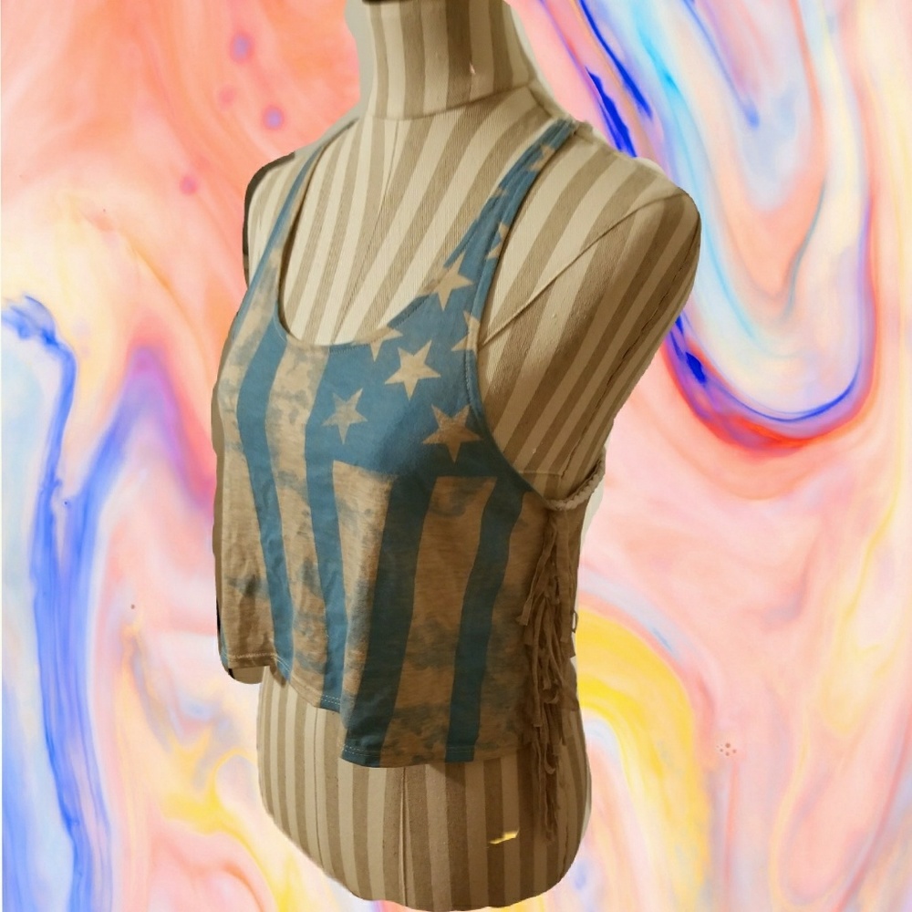 AMERICA CROP TOP